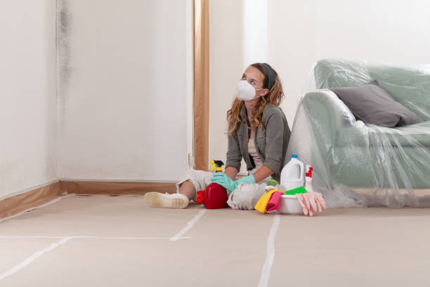 Reliable Mold Remediation contractor in Longmont, CO by Mold Remediation HQ